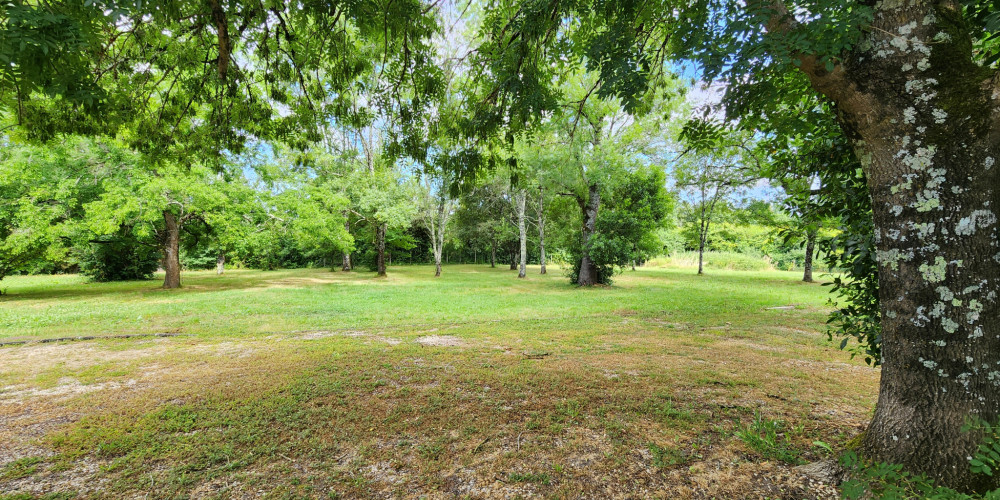 maison à LA LANDE DE FRONSAC (33240)